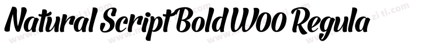 Natural Script Bold W00 Regular字体转换